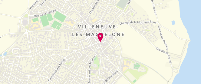 Plan de Los Locos, 11 Rue Maguelone, 34750 Villeneuve-lès-Maguelone