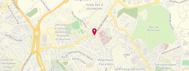 Plan de Le Totem, 1003 avenue Abbé Paul Parguel, 34090 Montpellier