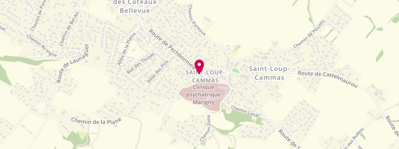 Plan de VINCENT Myriam, 5 Route de Pechbonnieu, 31140 Saint-Loup-Cammas