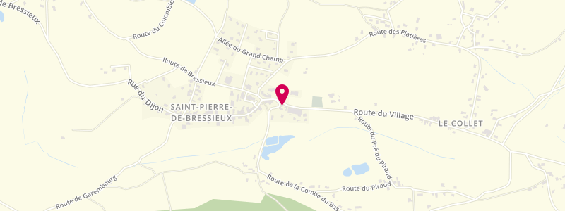 Plan de MEARY Agnès, 100 Route du Village, 38870 Saint-Pierre-de-Bressieux