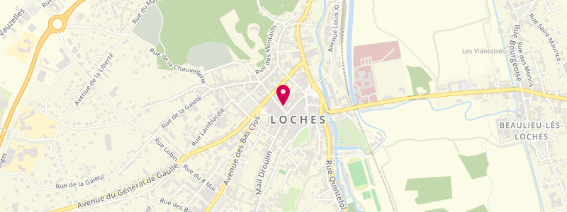 Plan de Le Chiquito, 8 Rue Picois, 37600 Loches