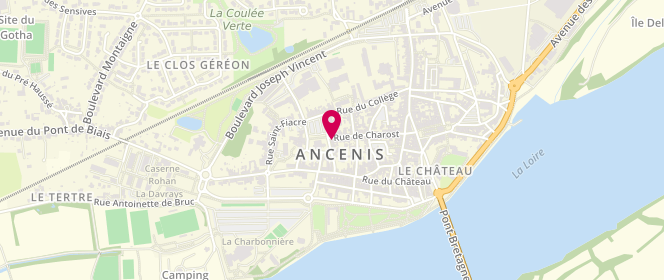 Plan de Le Ronsard, 233 Rue de Charost, 44150 Ancenis-Saint-Géréon