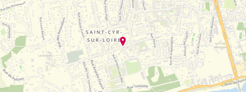 Plan de L'Avenue, 56 avenue de la République, 37540 Saint-Cyr-sur-Loire