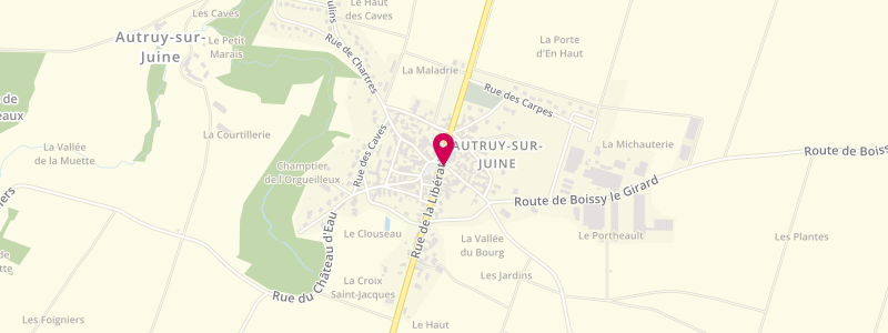 Plan de Hôtel du Cygne, 17 Rue de la Liberation, 45480 Autruy-sur-Juine
