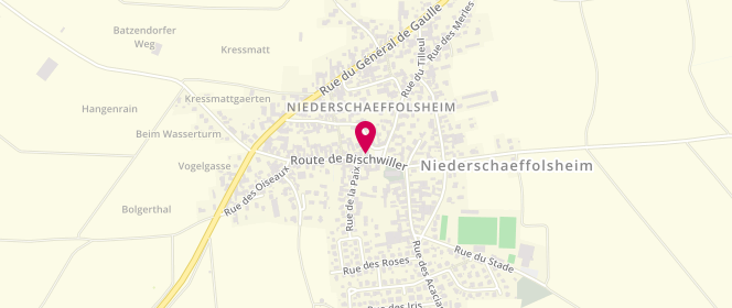Plan de Tabac Presse Krauth, 35 Route de Bischwiller, 67500 Niederschaeffolsheim