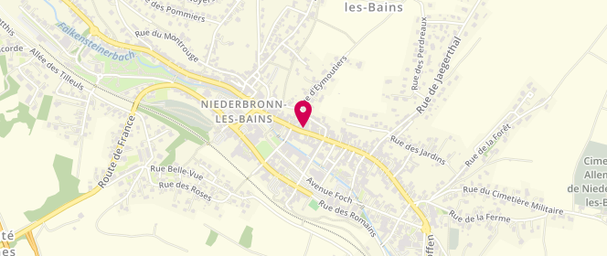 Plan de Tabac Grasser, 29 Rue du Général de Gaulle, 67110 Niederbronn-les-Bains
