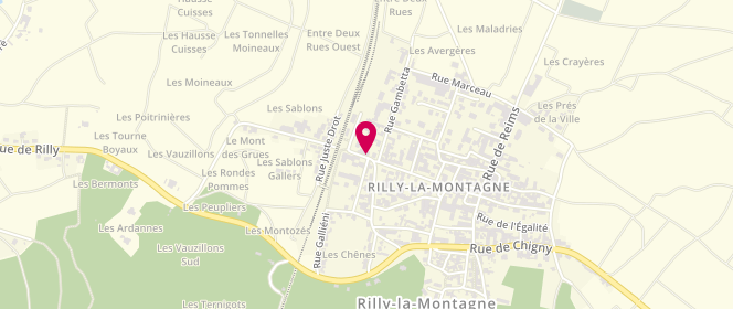 Plan de Le Bacchus, 3 Rue de Chigny, 51500 Rilly-la-Montagne